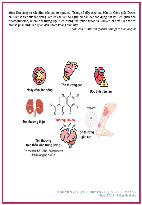 TỔNG QUAN VỀ ĐỘ AN TOÀN CỦA KHÁNG SINH FLUOROQUINOLON - PHẦN 1 9 B1 TRANG 3